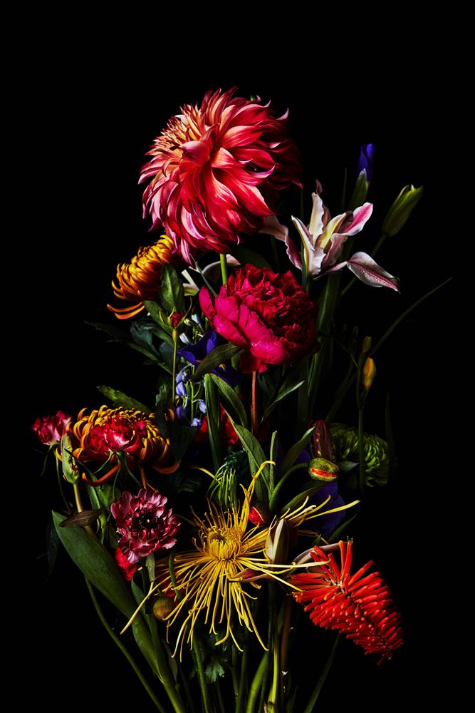 batch_日本藝術家Azuma Makoto的黃金伊甸_情境圖(4)