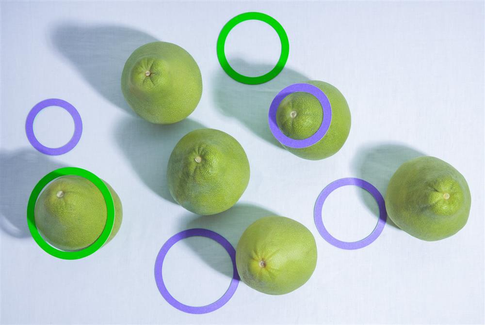 Houth操刀Pi拍柚子中秋禮盒7