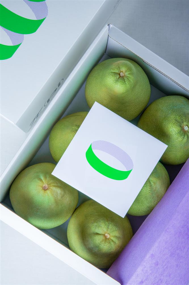 Houth操刀Pi拍柚子中秋禮盒8