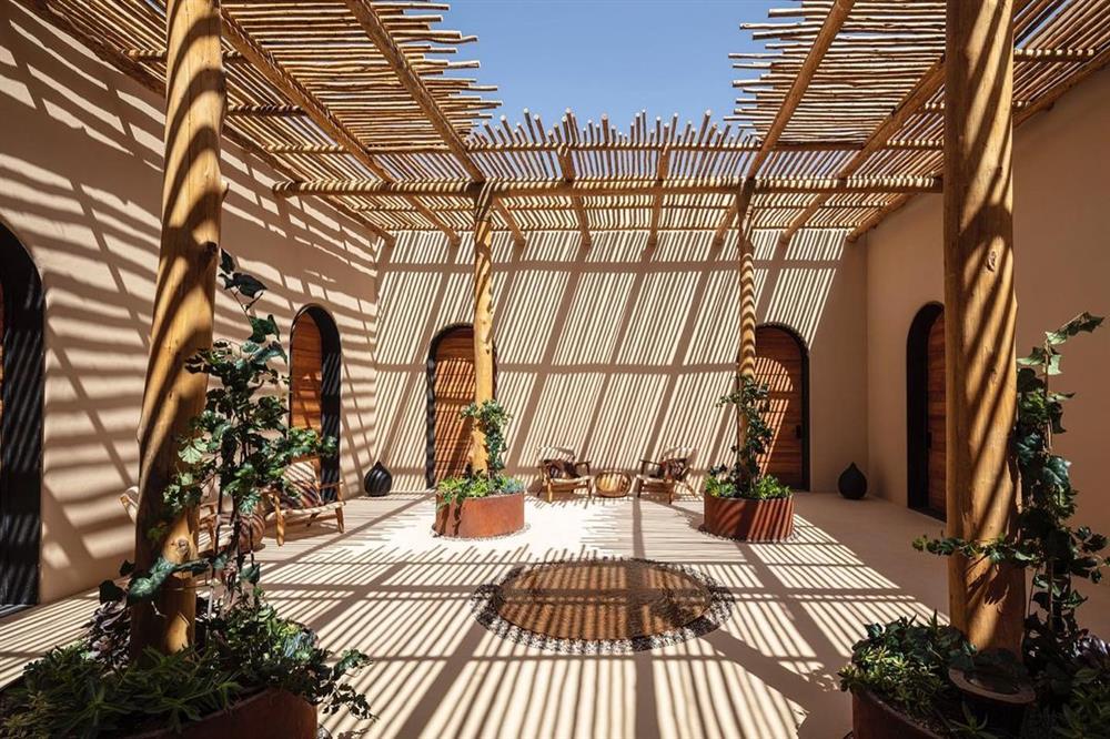 219878316_1462011720838435_5118778273187543288_n