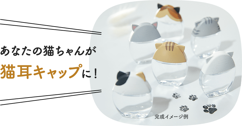 日本樂敦推貓耳眼藥水2