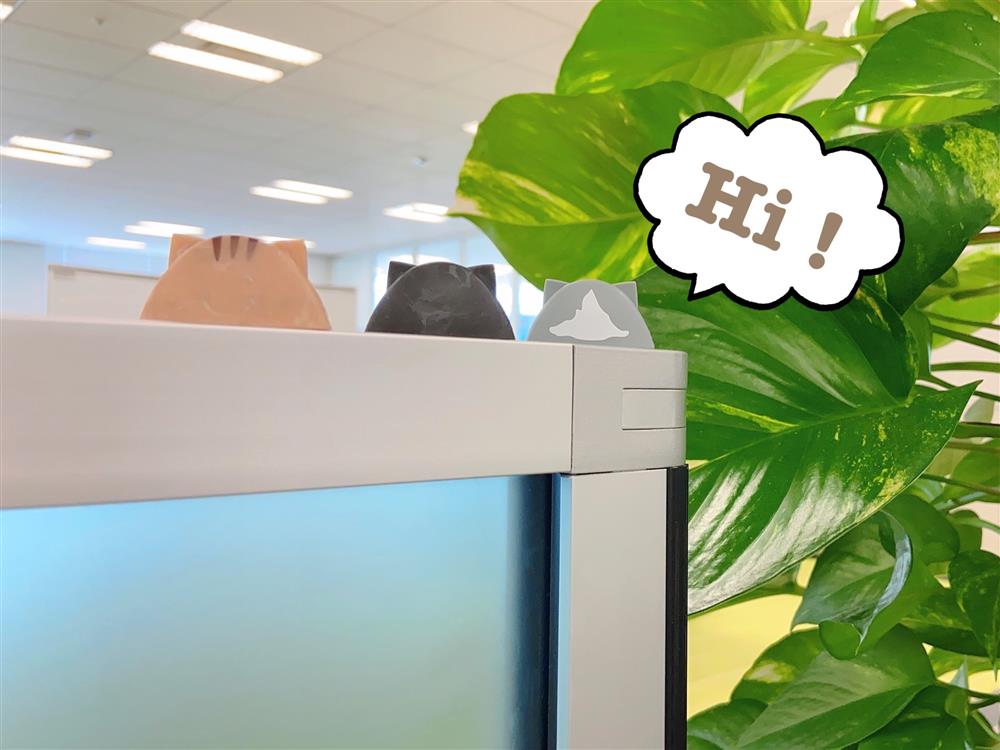 日本樂敦推貓耳眼藥水00