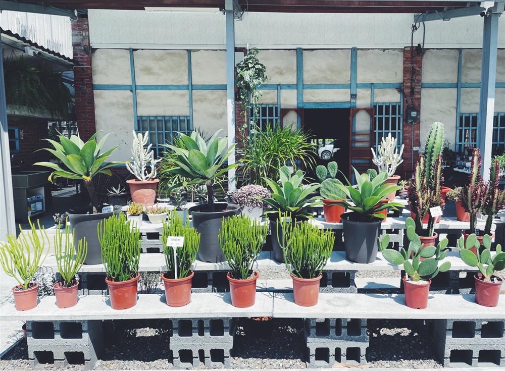 2021雲林斗六新景點「植曰手栽坊」S__76808209