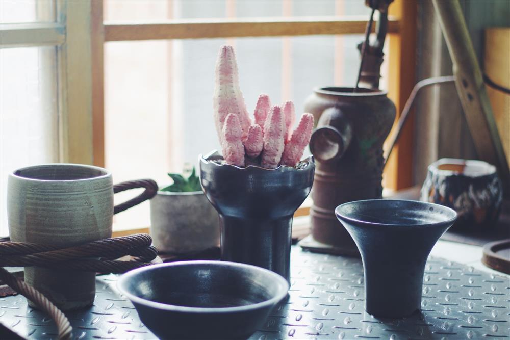 2021雲林斗六新景點「植曰手栽坊」IMG_5022