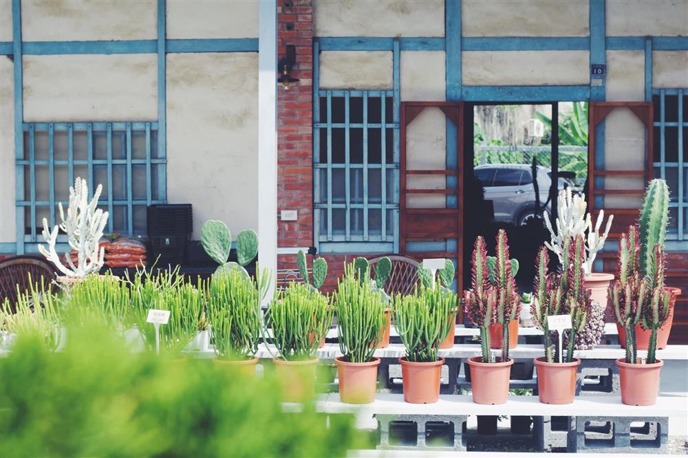 2021雲林斗六新景點「植曰手栽坊」