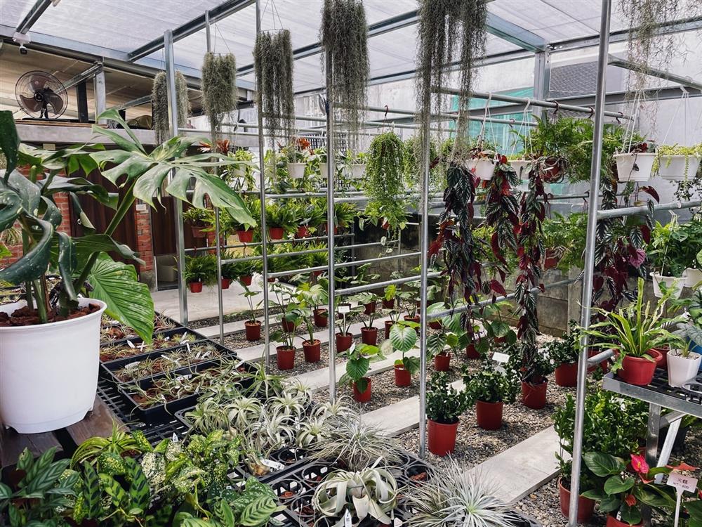 2021雲林斗六新景點「植曰手栽坊」S__76808196