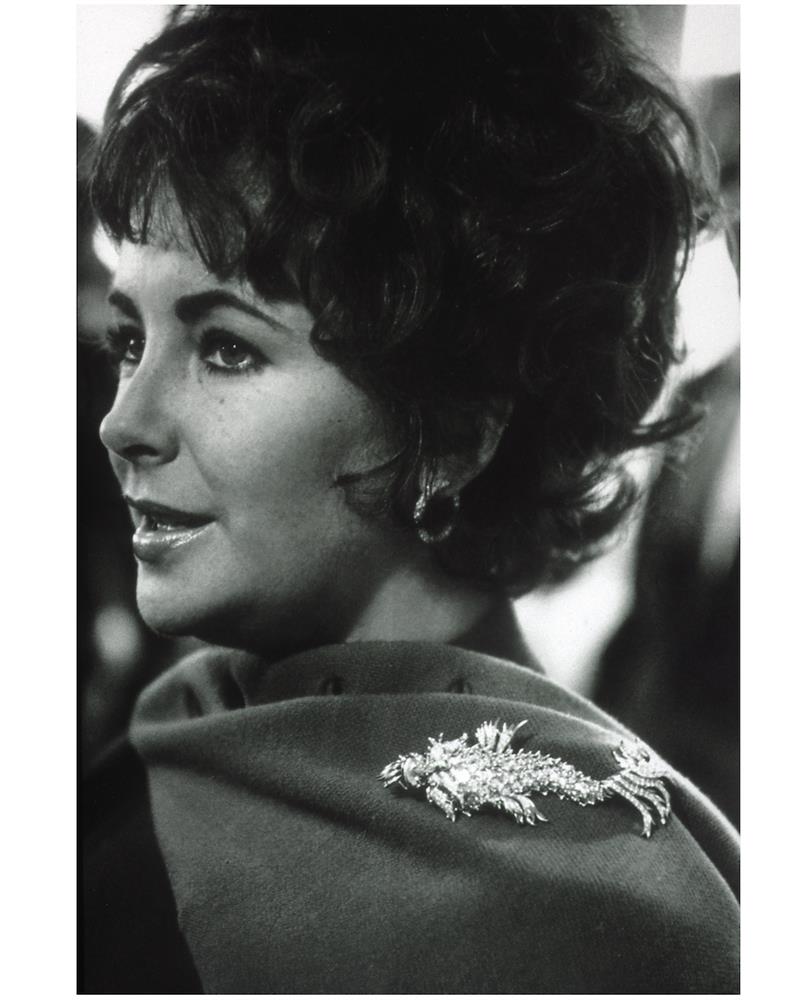 伊麗莎白泰勒(Elizabeth Taylor)佩戴Jean Schlumberger所設計的海豚胸針