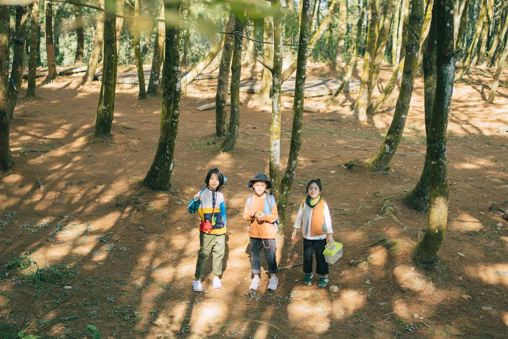 Little Seed Urban Outdoor2