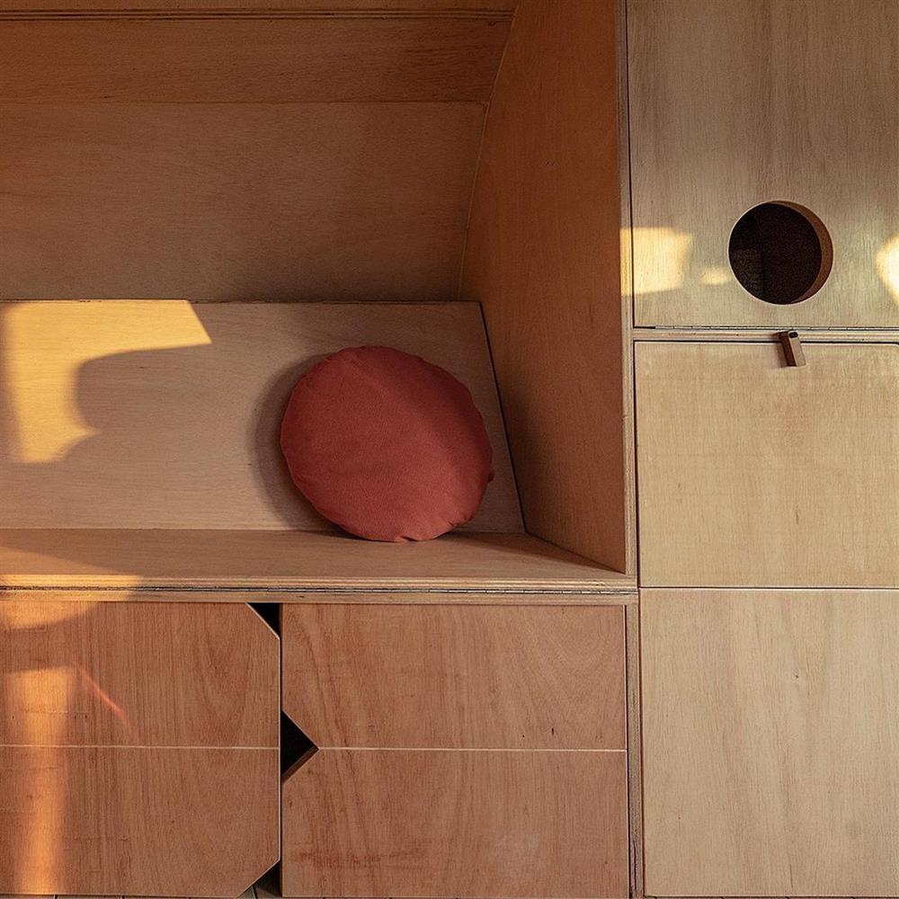 240524046_395957695376341_5601082274807138033_n