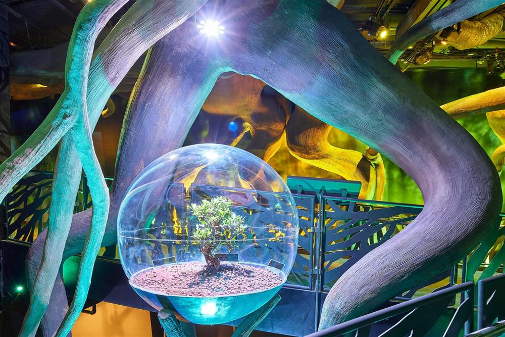 2020杜拜世博永續主題館1