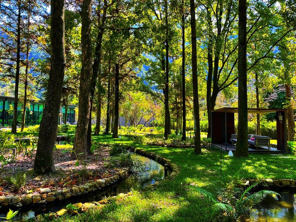 虹夕諾雅 谷關「免疫力提升的暖活益身」秋冬專案