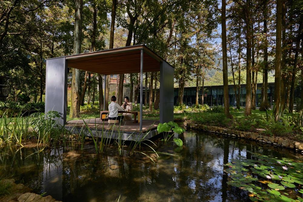 2021【虹夕諾雅 谷關 HOSHINOYA Guguan】茶葉體驗課程 氛圍照 Tea Experience (2)