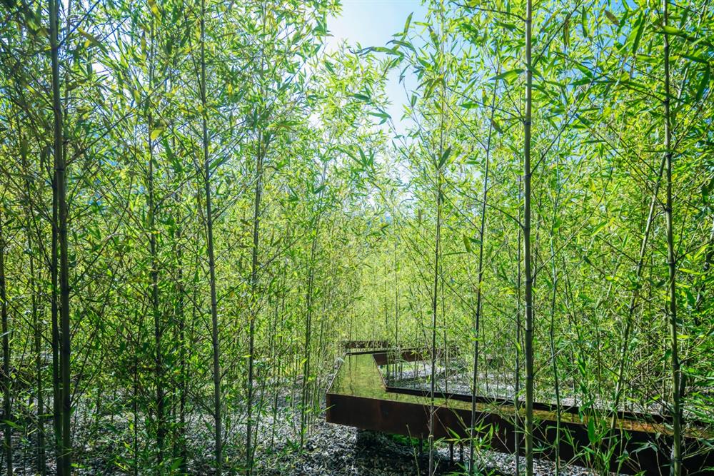 2021【虹夕諾雅 谷關】竹林