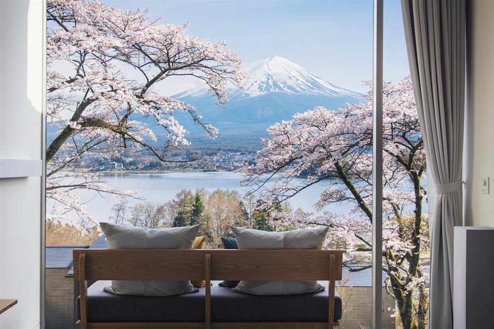 Cabin Cherry Blossom - HOSHINOYA Fuji Cabin Cherry Blossom - HOSHINOYA Fuji