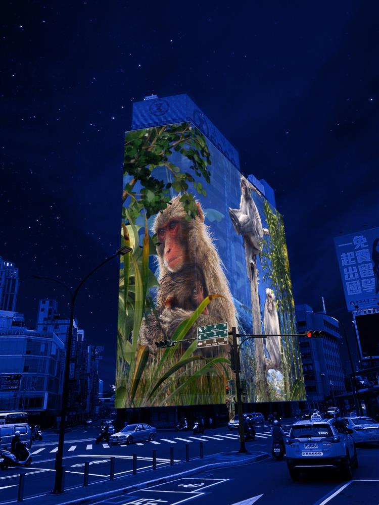 作品2:數位動物園 作品2:數位動物園