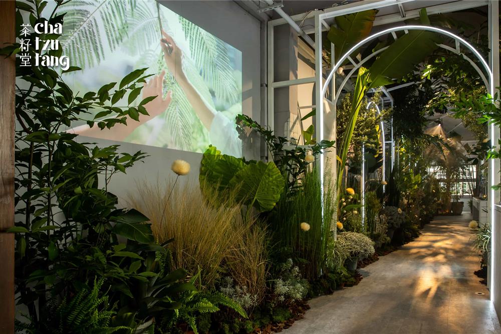 圖09：茶籽堂「大地癒所」品牌年度特展。_1