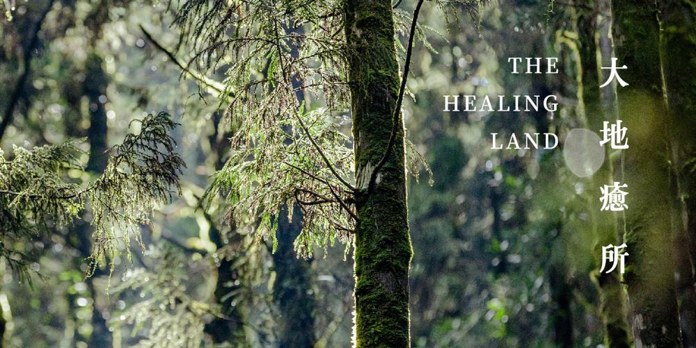 圖15：茶籽堂大地癒所年度特展主視覺
