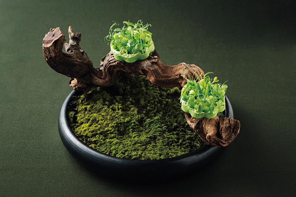 東南亞香料_胖胖樹_JL Studio_02