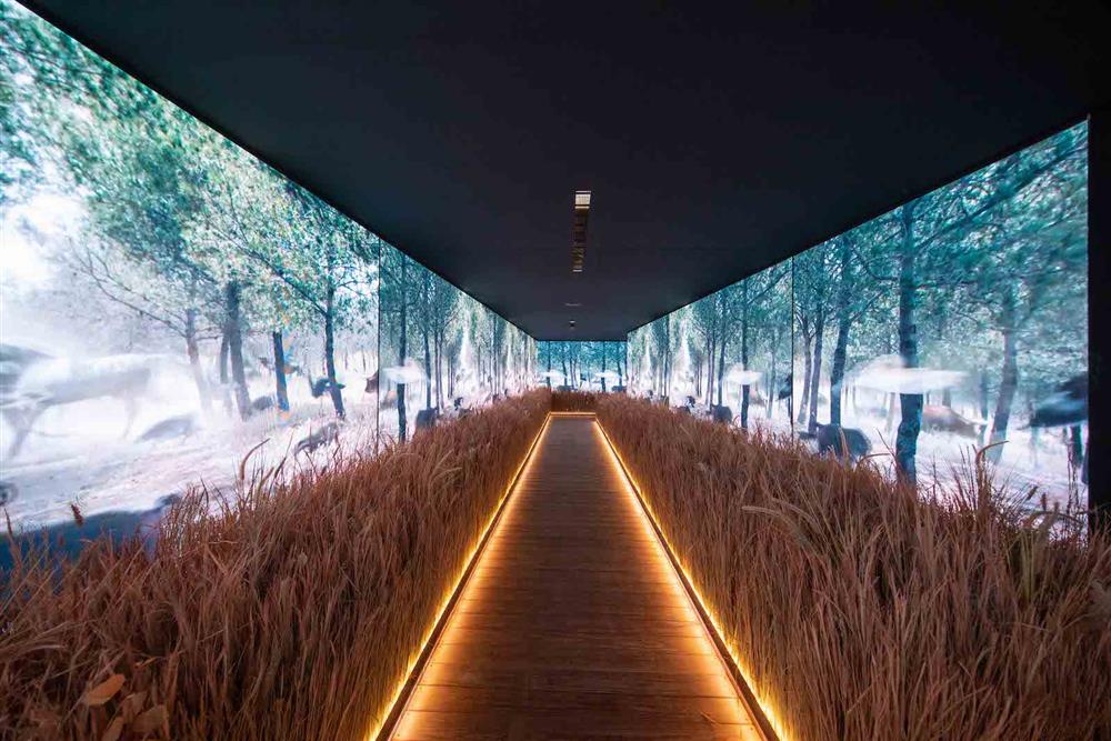 Gucci Gothic-Gucci方舟 (2)