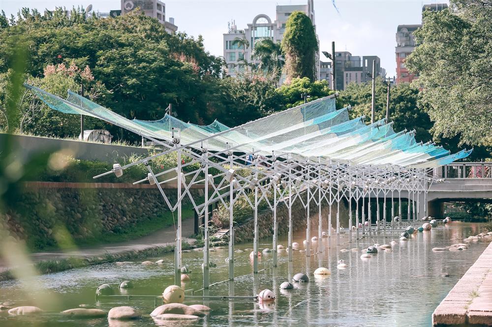 逐光飛翔-B群 04