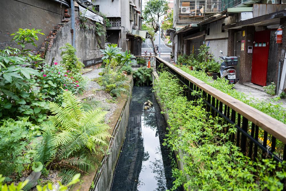 王文心《日常的空隙》江佶洋《光螟》&