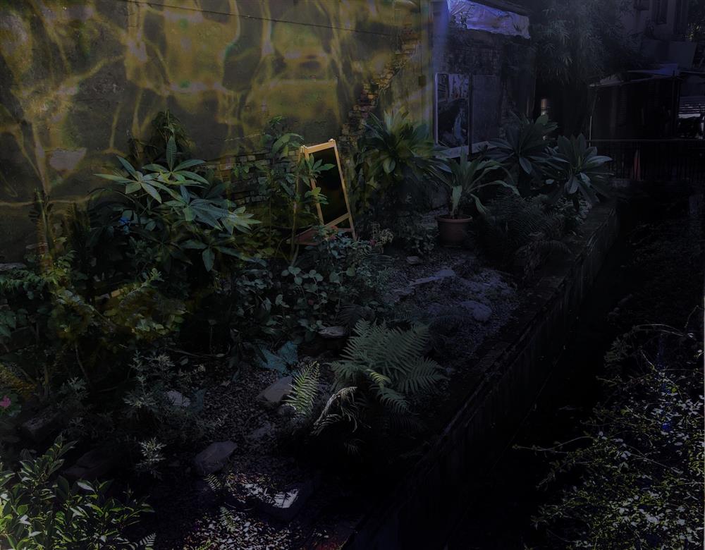 _江佶楊《光螟》