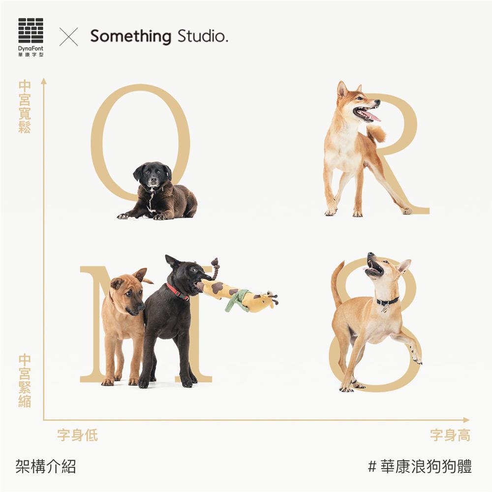 252646036_3087566908178124_7350073258952373139_n