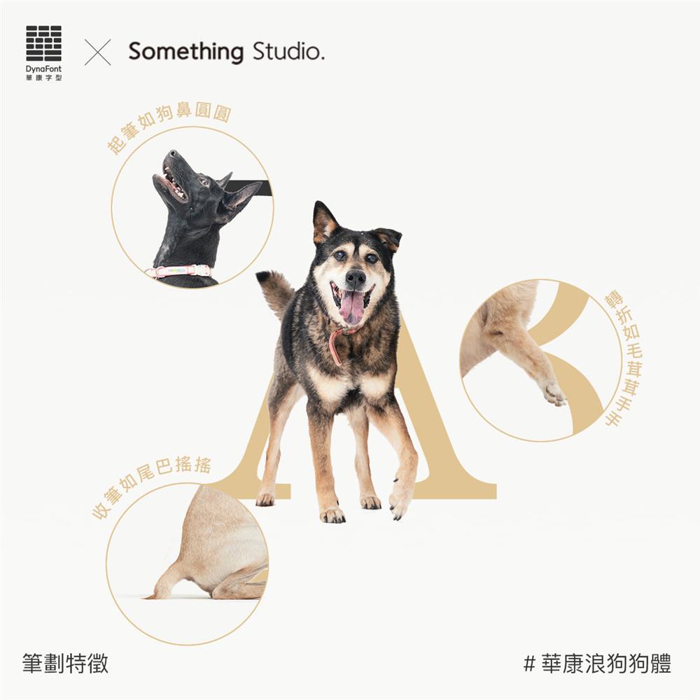 250291262_3087566958178119_3230997214331635327_n