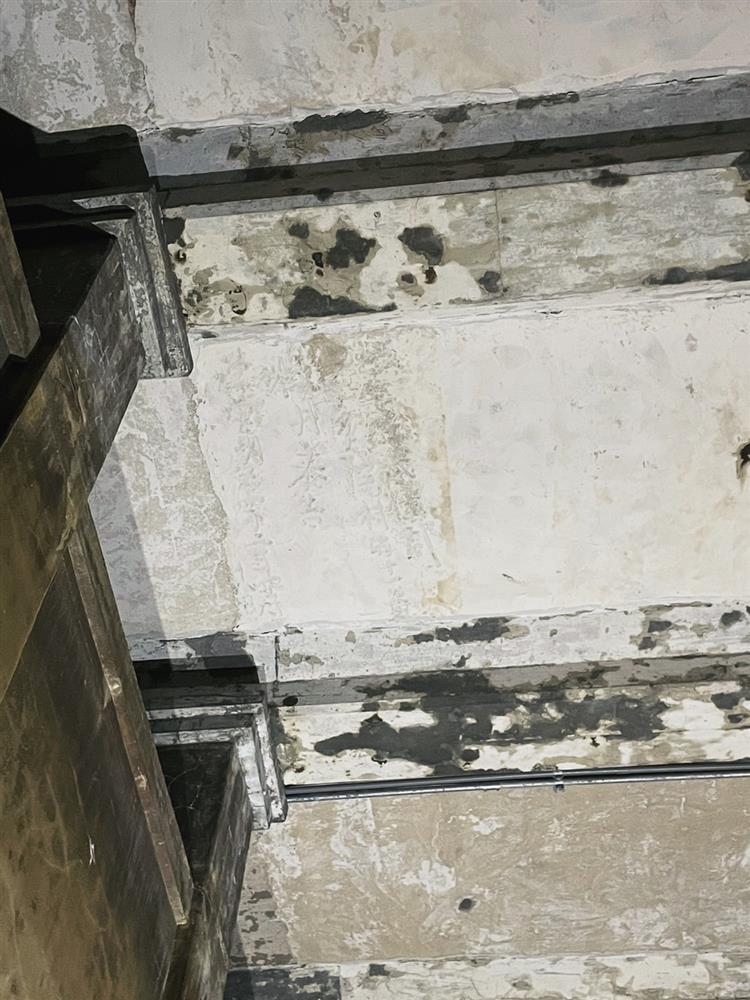 2021打開台北S__79265800