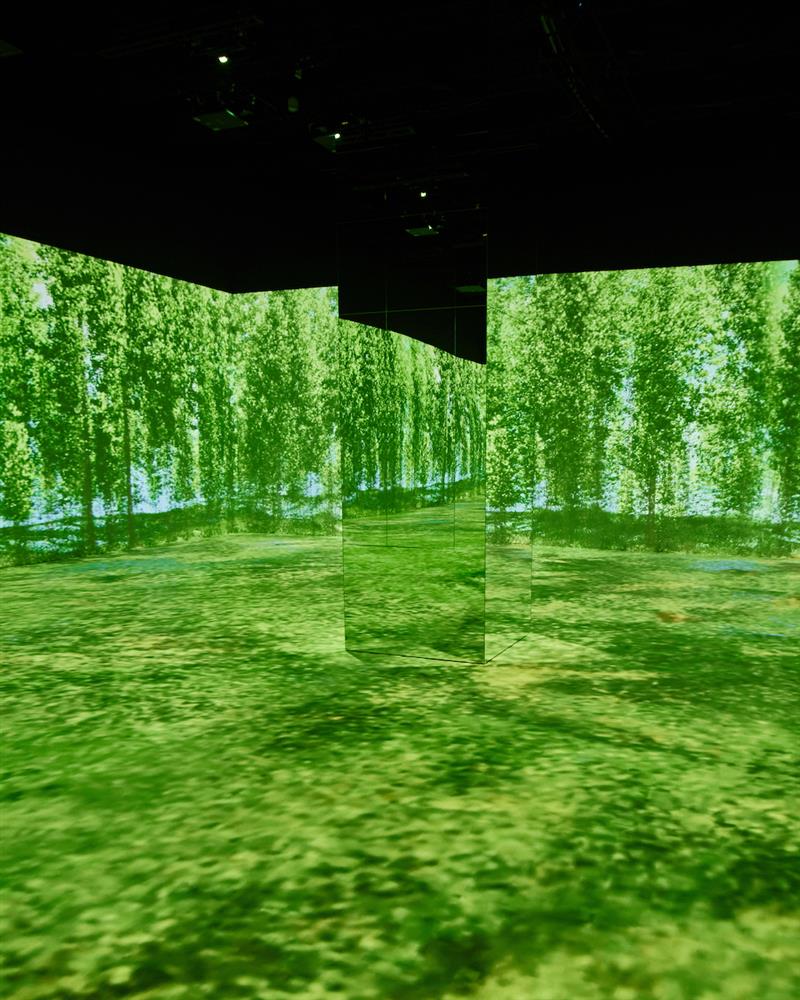 4x5 Imagined Landscapes Jeju - Digital Room_002