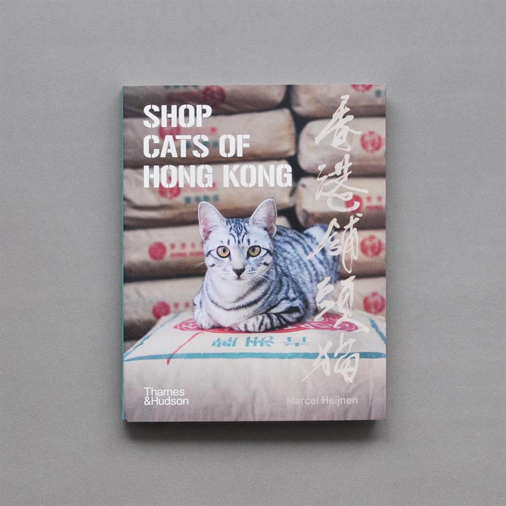 255753868_4058840260888827_7772923539517668815_n