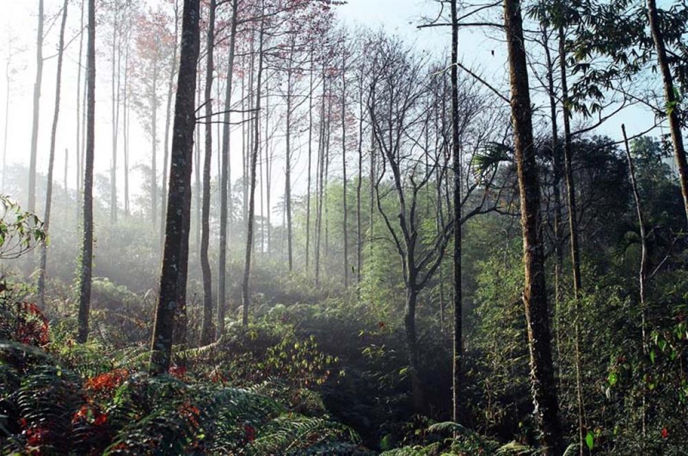 2021書市野餐日_01