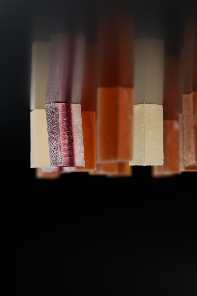 將「法式軟糖」的概念進行延伸_1