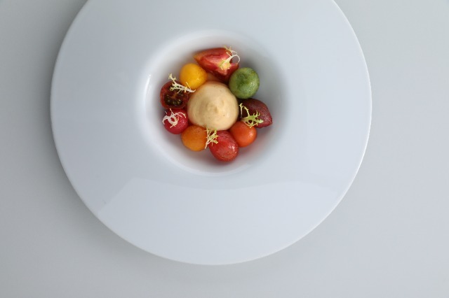 南部人的共同記憶