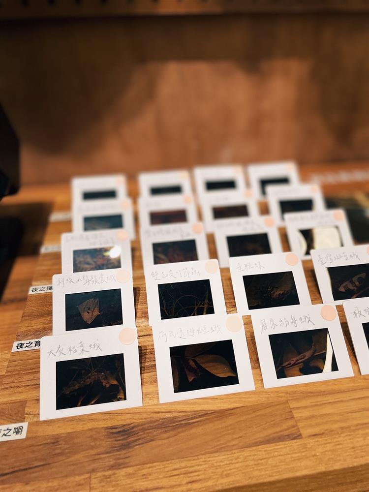 S__39919626 S__39919626