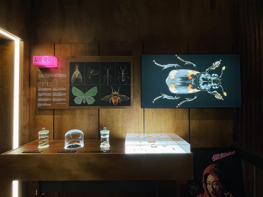 S__39919623 S__39919623