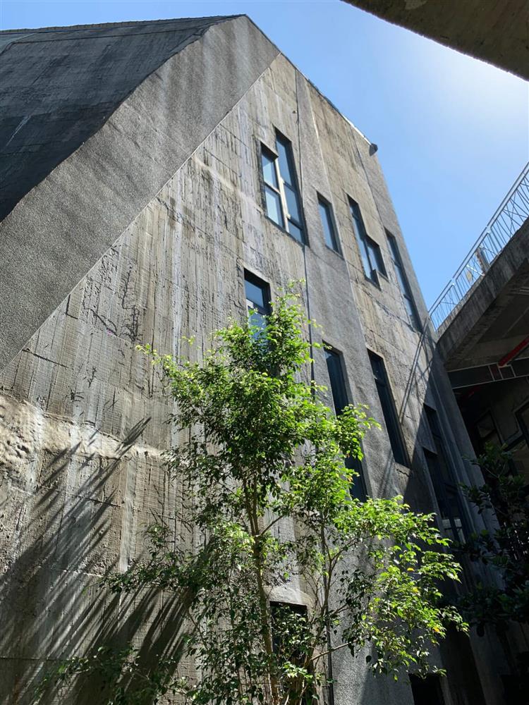 雜學校 竹東 雜學校 竹東