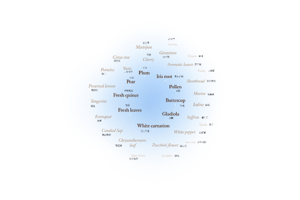 FotoJet(22) FotoJet(22)