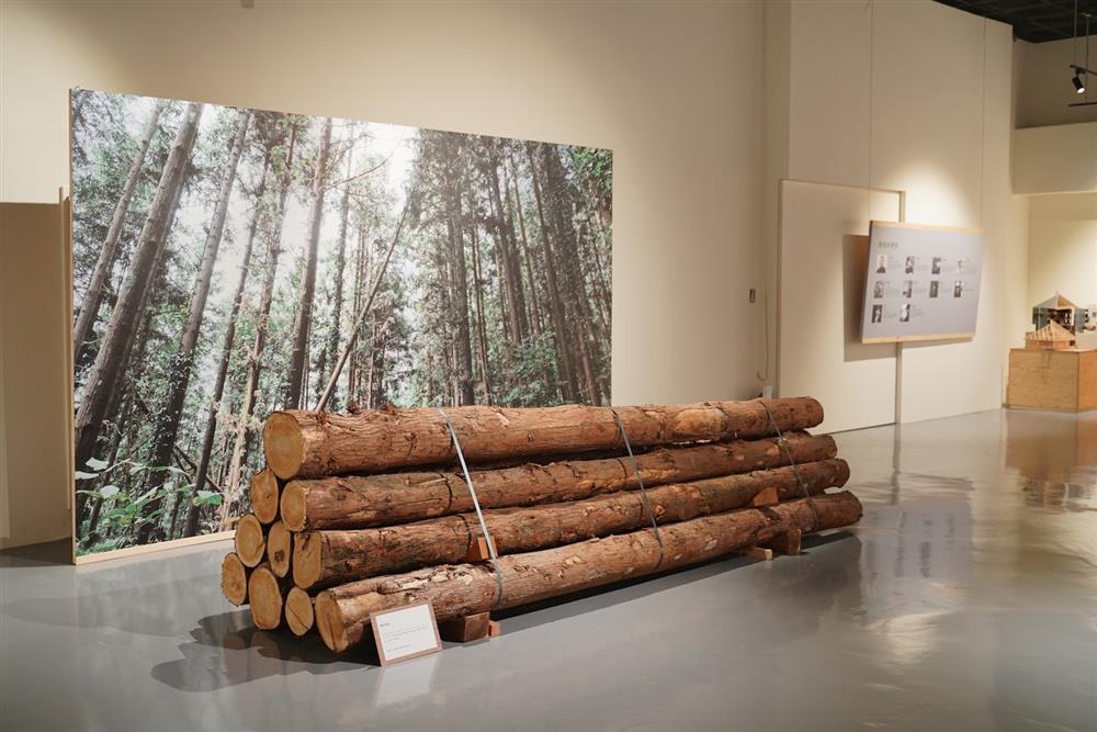 實體原木展場透視