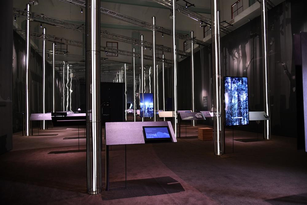 記憶・阿里山特展實景_以空間、燈光、視覺、氣味五感呈現遊走林木之間的體驗_林鐵處提供4