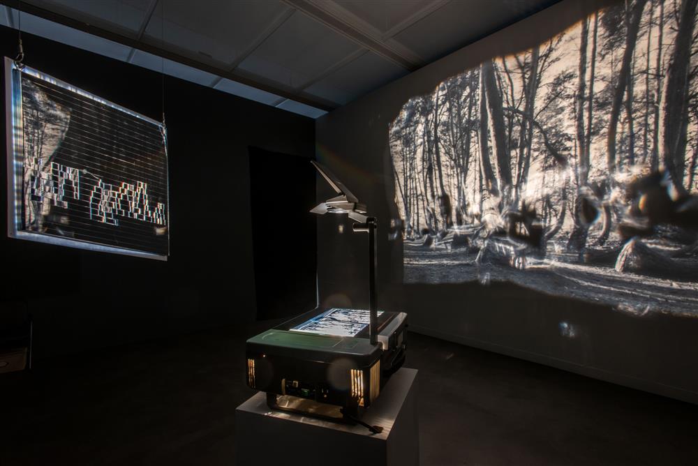 高美館展覽亮點與內惟藝術中心_04