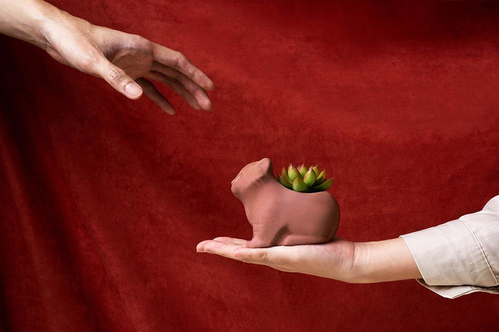 有肉SUCCULAND_虎年禮盒_06