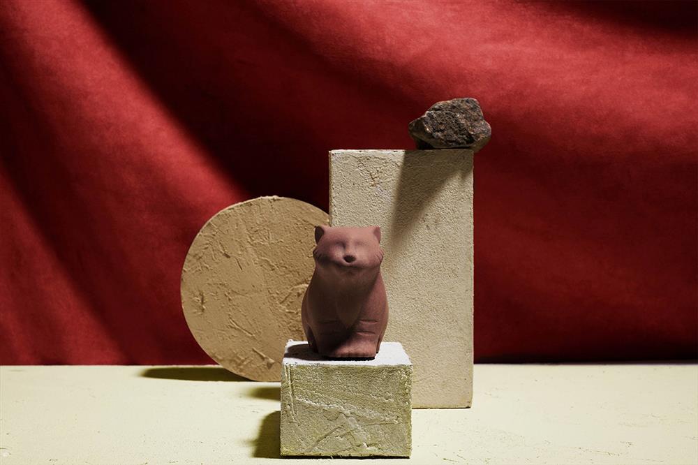 有肉SUCCULAND_虎年禮盒_13