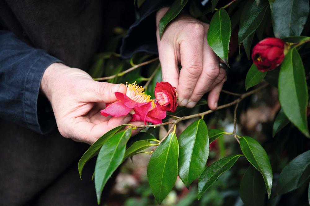 SO2021_00_0188_CMYK SO2021_00_0188_CMYK