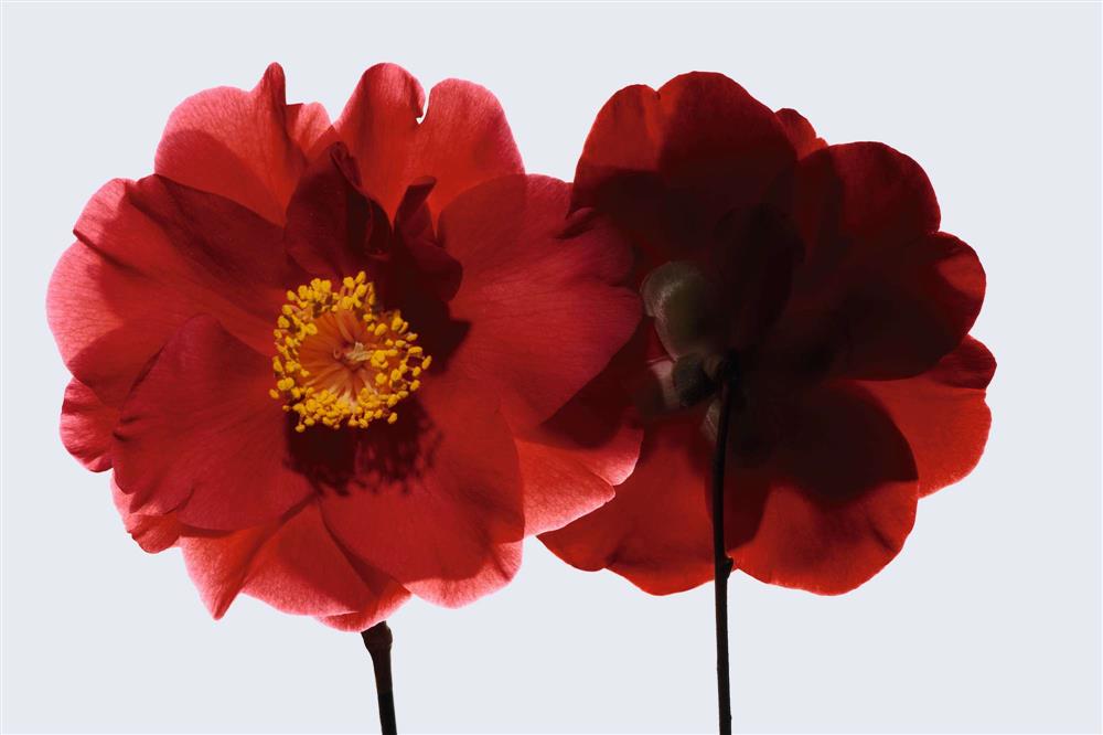 SO2021_00_0134_CMYK SO2021_00_0134_CMYK