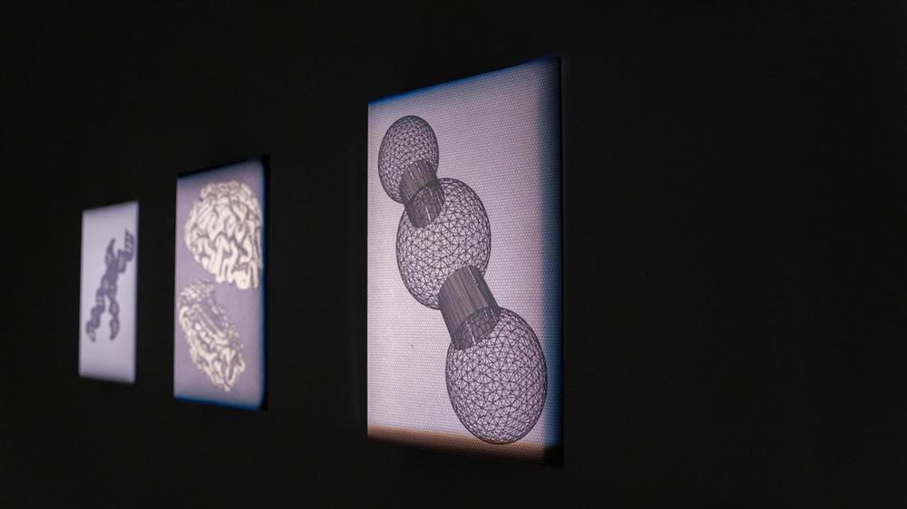 03 張般源,《成為系列》,2019,數位輸出於鋁板。藝術家自藏。 03 張般源,《成為系列》,2019,數位輸出於鋁板。藝術家自藏。