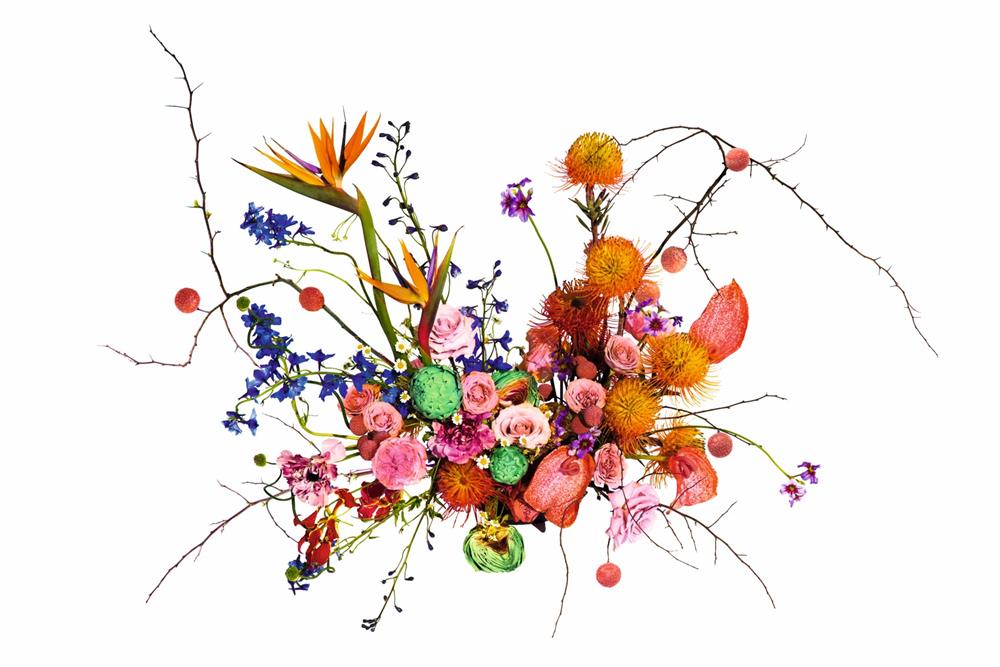 玫瑰淡香精(形象圖)