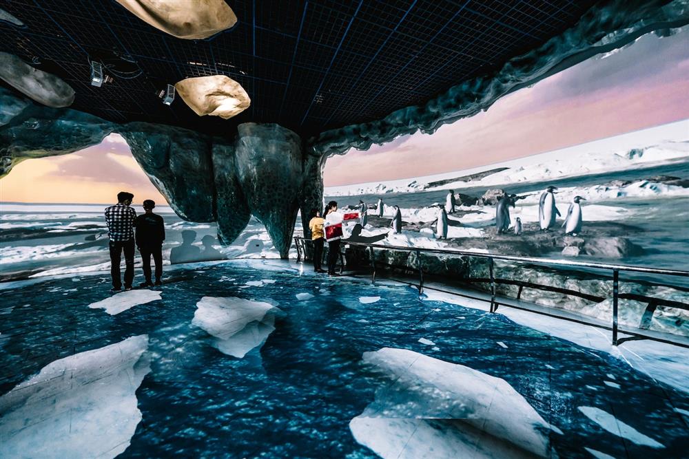 極境漫遊66.5度_南極區3