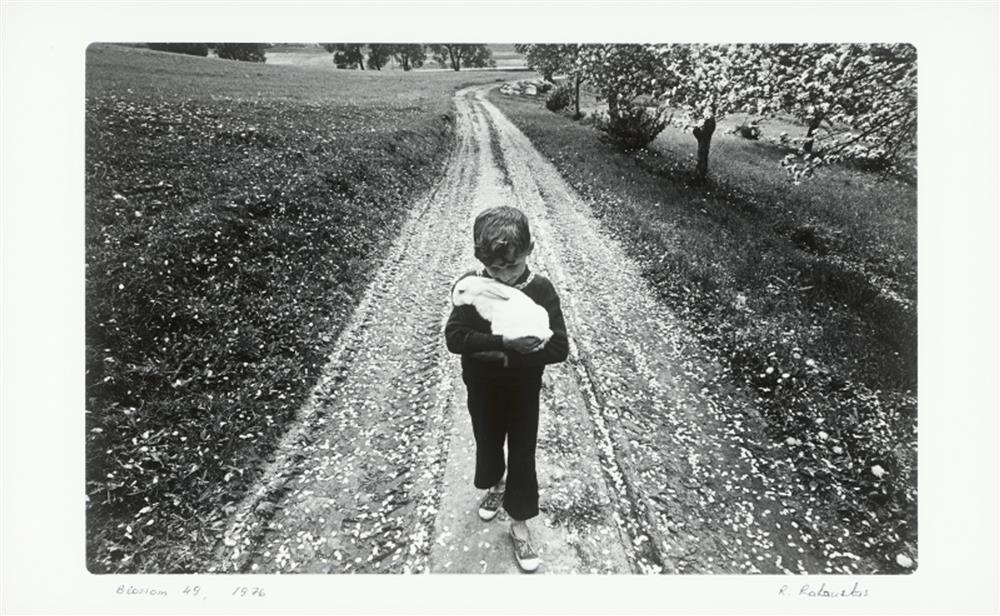 2_Romualdas Rakauskas_Blooming no.49