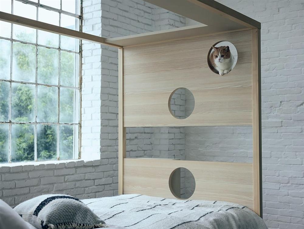 日本dinos附有貓咪階梯的床截圖 2022-01-14 下午7.09.09 日本dinos附有貓咪階梯的床截圖 2022-01-14 下午7.09.09